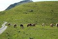 (214) Col d'Aphanize